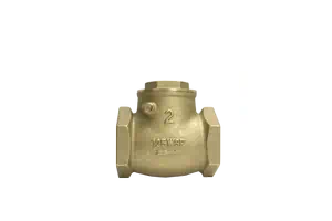 Brass Swing Check Valve